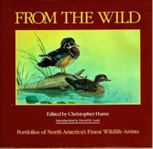 From the wild portfolios - the, of