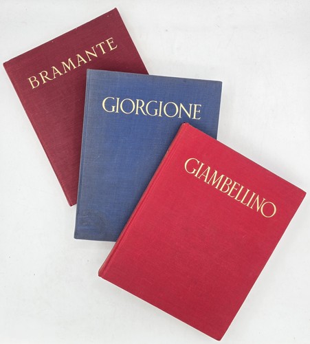 Lot istituto italiano - 3,